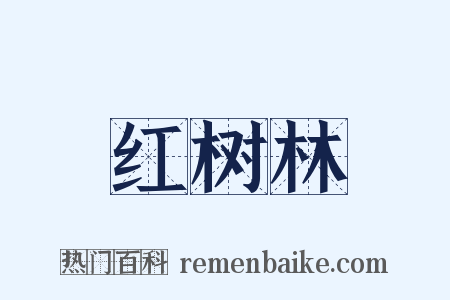 红树林是什么意思的图片